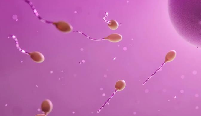 预告|7月6日INCINTA胚胎学家谢博士开启线上直播揭秘试管婴儿成功的关键