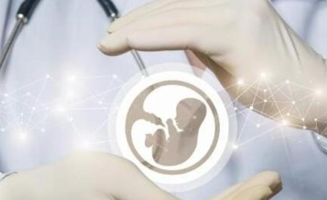泰国 LRC 医院：卓越的试管婴儿医疗中心